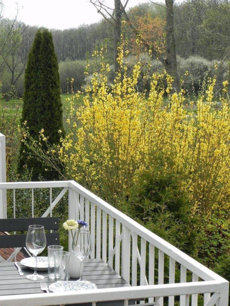 Ferienwohnung-Nils-Holgerson-Mit-Balkon-Zwischen-Strand-Wald-Wiese-Im-Suedosten-Der-Insel-Ruegen Gustow  Ngoại thất bức ảnh
